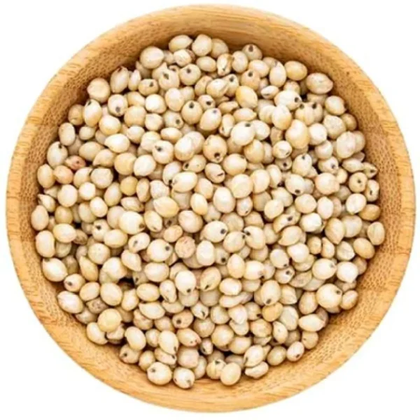 Organic Sorghum Millet Whole(साबुत)