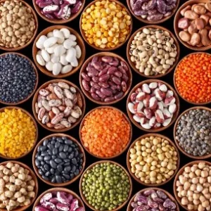 Pulses(दालें)