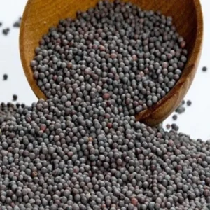 Black Mustard Seeds (काली सरसों के बीज)