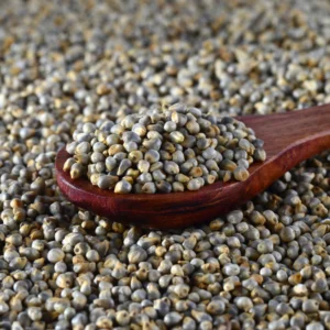 Pear Millet Whole(साबुत बाजरा)