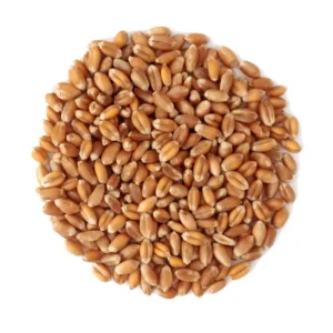 Grains(अनाज)