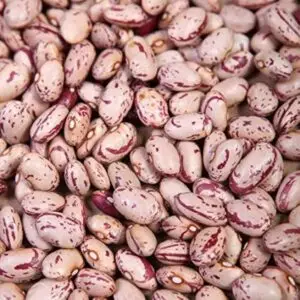 Chitra Rajma