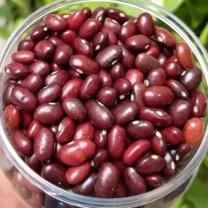 Rajma Red