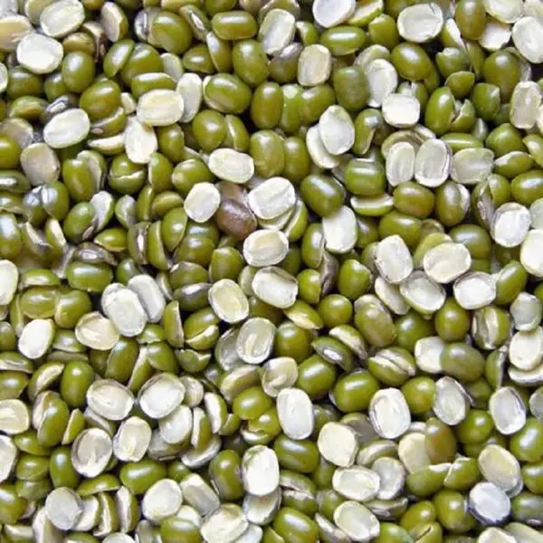 green urad dal (split or whole) – nutrient-rich lentils with a green outer layer and creamy interior, commonly used in Indian cuisine for dals, curries, and batters."