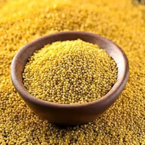 Pili Sarso Oil Seed ( पीली सरसों के बीज)