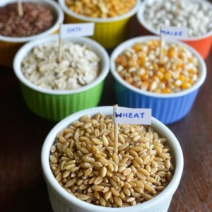 Multigrain Flour(wheat + chana + soya + makka + oats)
