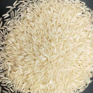Basmati XXXL